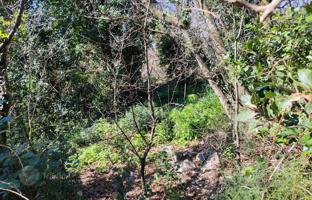 Land plot 1,180 m² in Kraljevica for 155,000 €