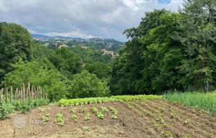 Land plot 1,731 m² in City of Zagreb for 155,000 €