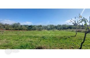 Land plot 5,102 m² in Istria County for 175,000 €
