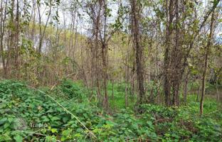 Land plot 900 m² in Višnjan for 117,000 €