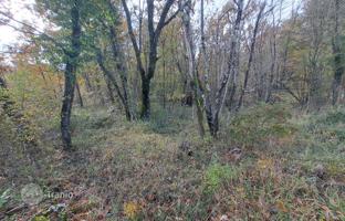Land plot 6,300 m² in Permani for 120,000 €