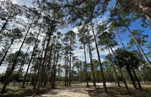 Land plot in Hendry County for $427,000