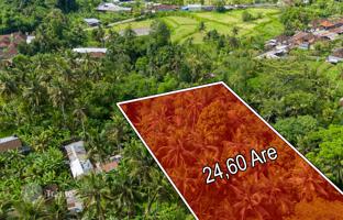 Land plot 2,460 m² in Ubud for $120,000