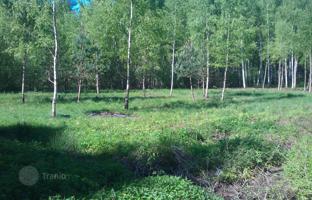 Land plot 10,663 m² in Ropaži Municipality for 240,000 €