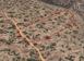 Investment land in Germasogeia for 9,900,000 €