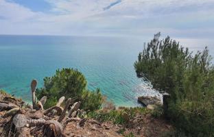 Land plot 2,000 m² in Arenys de Mar for 2,000,000 €