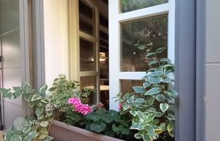 2-room house 116 m² in Bale for 369,000 €