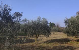 2-bedroom house 18 m² in Pomer for 140,000 €