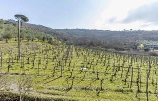 5-bedroom villa 800 m² in Cortona for 980,000 €