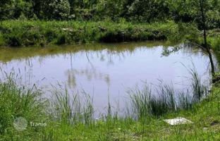 Land plot 205 m² in Scansano for 900,000 €