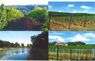 Land plot 900 m² in Castiglione del Lago for 1,290,000 €