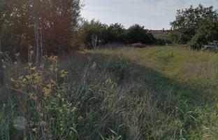 Land plot 1,360 m² in Pula for 270,000 €