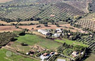 Land plot 2,467 m² in Orbetello for 2,500,000 €