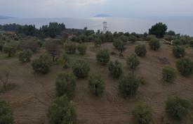 Plot at 400 meters from the sea, Sithonia, Greece for 350,000 €