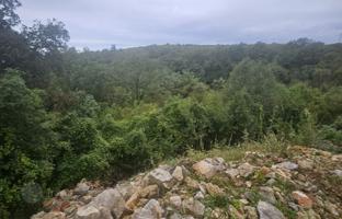 Land plot 6,500 m² in Rijeka for 350,000 €