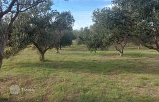 Land plot 2,003 m² in Privlaka for 78,000 €
