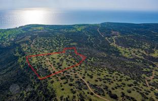 Land plot 40,135 m² in Pissouri for 1,300,000 €
