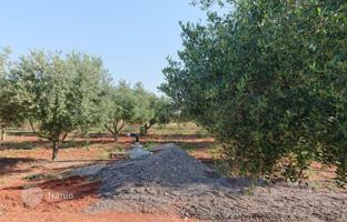 Land plot 20,000 m² in Attica for 620,000 €