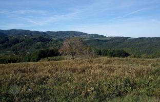 Land plot 1,000 m² in Pisa for 980,000 €