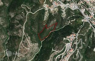 Land plot 19,064 m² in Tsada for 811,000 €