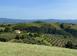 Investment project 624 m² in Campagnatico. Price on request