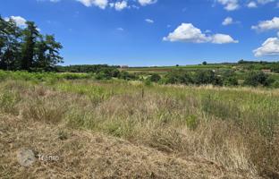 Land plot 1,485 m² in Vižinada for 190,000 €
