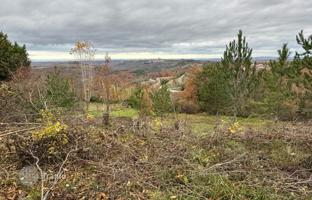Land plot 990 m² in Buje for 235,000 €