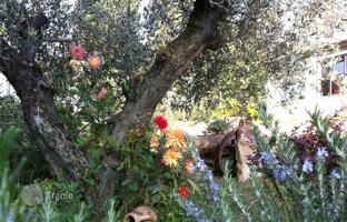 6-bedroom villa 380 m² in Passignano Sul Trasimeno for 790,000 €