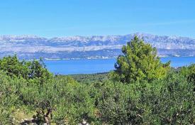 Olive grove for sale, Mirca, island of Brač for 123,000 €