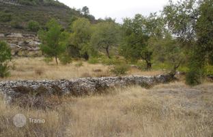 Land plot 6,523 m² in Pera Pedi for 490,000 €