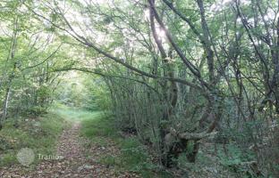 Land plot 13,056 m² in Labin for 59,000 €