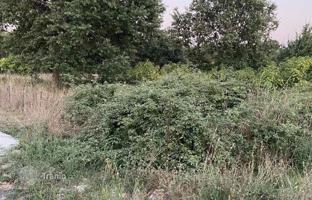 Land plot 634 m² in Medulin for 180,000 €