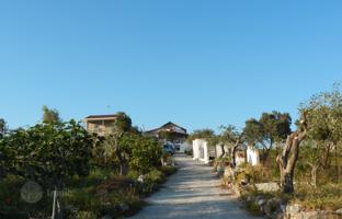 Land plot 1,263 m² in Attica for 400,000 €