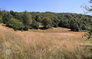 Large plot of land for development, Kolasin, Montenegro. Price on request