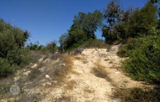 Land plot 6,247 m² in Tala for 687,000 €