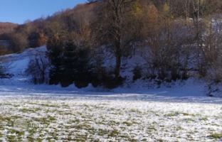 Large plot of land near the center of Kolasin, Montenegro. Price on request