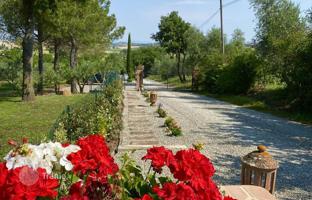 19-bedroom villa 990 m² in Castiglione del Lago for 1,600,000 €