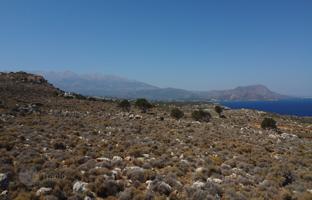 Land plot 10,664 m² in Kokkino Chorio for 250,000 €