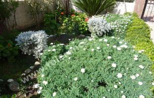 Apartment in Saint-Rémy-de-Provence. Price on request
