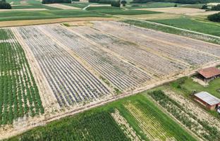 Land plot 79,136 m² in Virovitica-Podravina County for 320,000 €