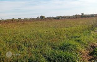 Farm 5,062 m² in Zadar County for 65,000 €