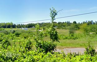 Land plot 2,535 m² in Umag for 500,000 €