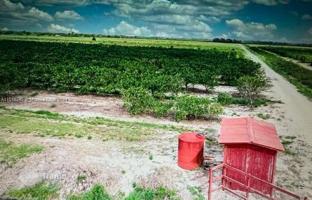 Land plot in Florida for $600,000