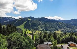 Land plot in Les Gets for 1,550,000 €