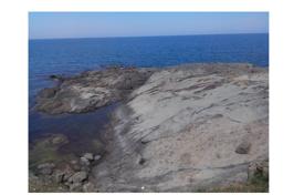 Plot of land in the village of Varvara in the status of agricultural, 600 meters from the sea, Burgas region, Bulgaria, 10,000 m for 550,000 €