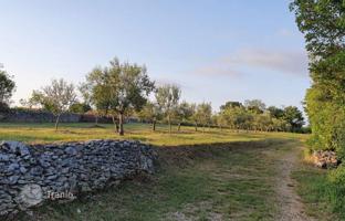 Land plot 1,191 m² in Marcana for 80,000 €