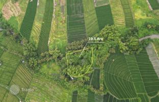Land plot 1,950 m² in Tabanan for $1,073,000