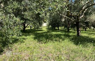 Land plot 5,929 m² in Kampor for 350,000 €