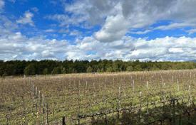 Grosseto (Grosseto) — Tuscany — Farm/Agricultural Land for sale for 1,300,000 €