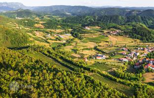 Land plot 61,392 m² in Koper for 639,000 €